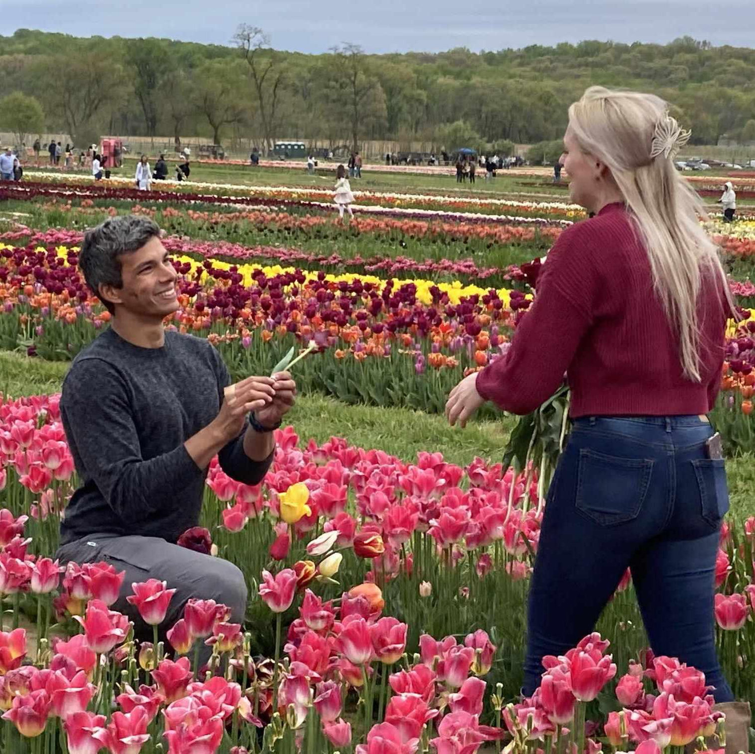The proposal!