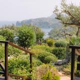 Soller & Deia