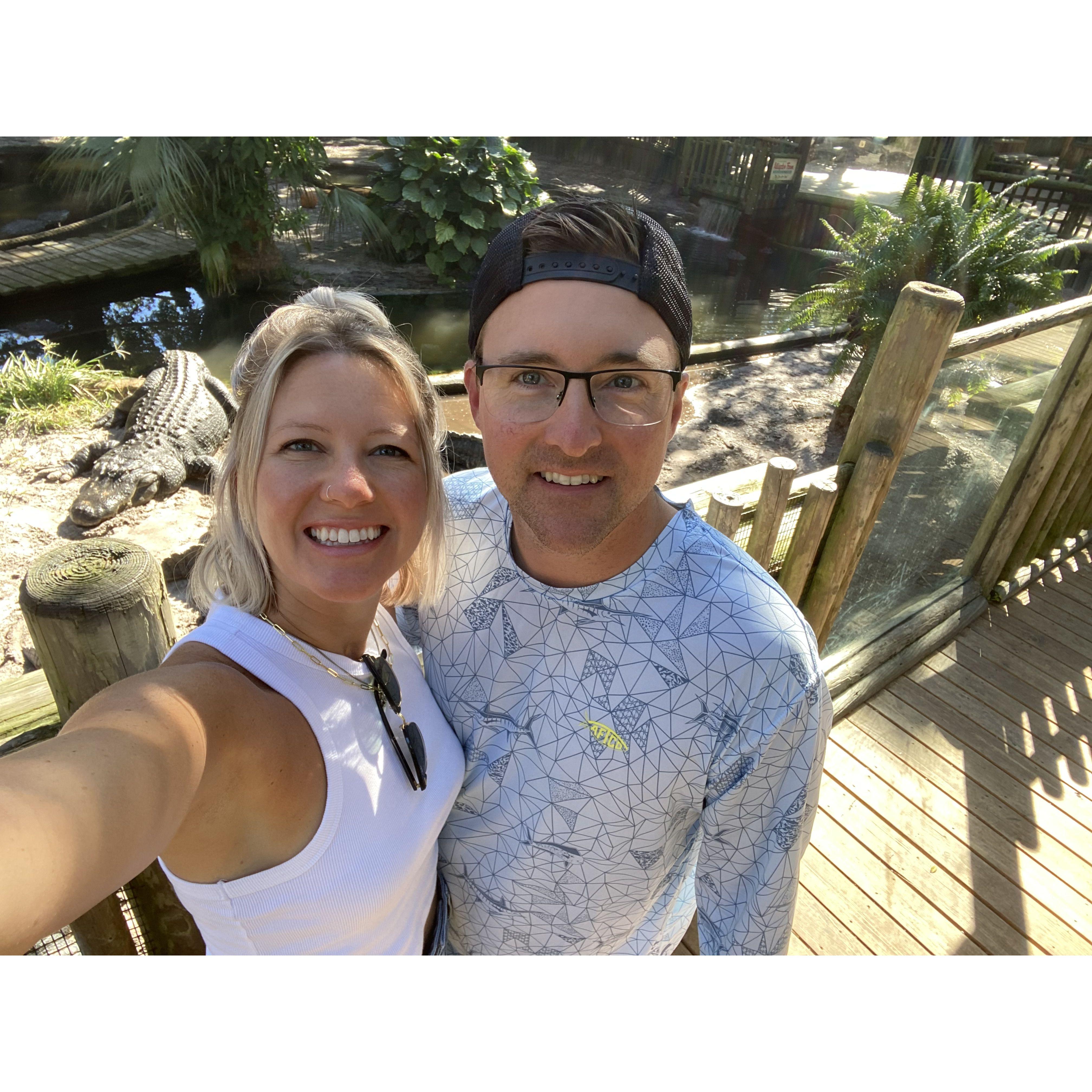 ALLIGATOR PETTING ZOO!!