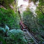 Scenic World