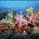Playa del Carmen Tours