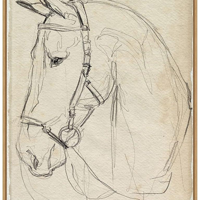 Amanti Art Framed Canvas Wall Art 30x23 Horse in Bridle Sketch II by Jennifer Paxton Parker, Framed Wall Art Canvas, Animals Artwork, Modern Contemporary Decor, Large Painting for Living Room, Bedroom
