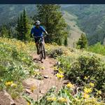 MOUNTAIN BIKE RENTALS