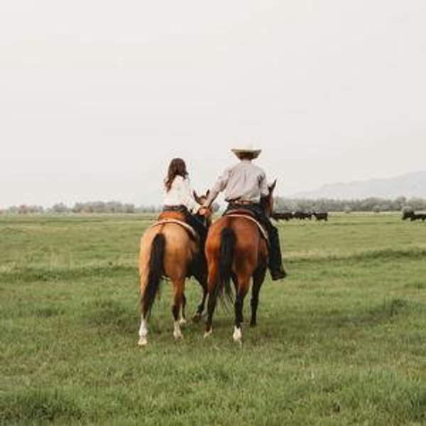 Horseback Riding On Our Honeymoon