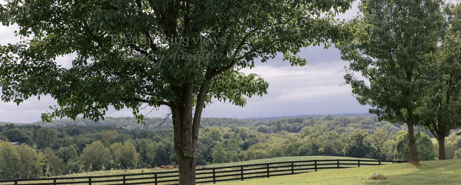 The Wedding Website of Matthew Walker and Karis Thomas