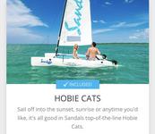 Hobbiecats