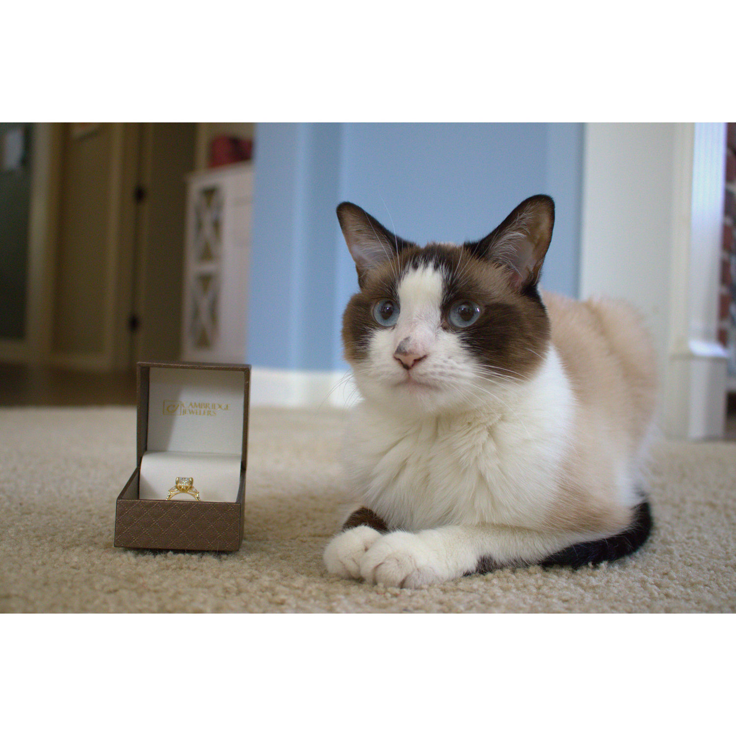 03/15/24 - Cleo approves.