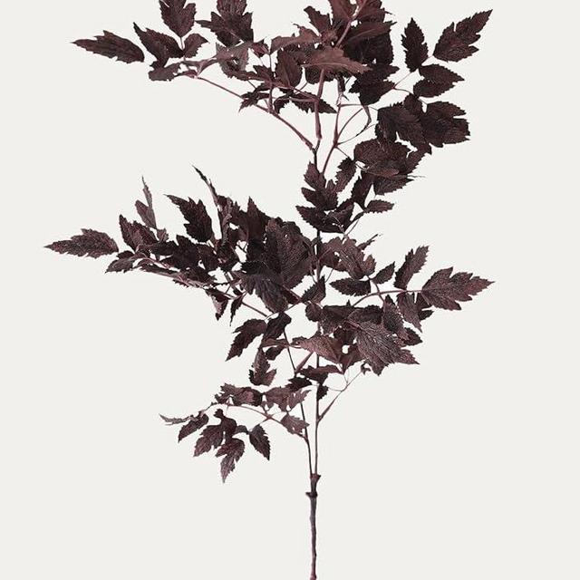 Afloral Plum Fake Cimicifuga Ramosa Leaves - 31"