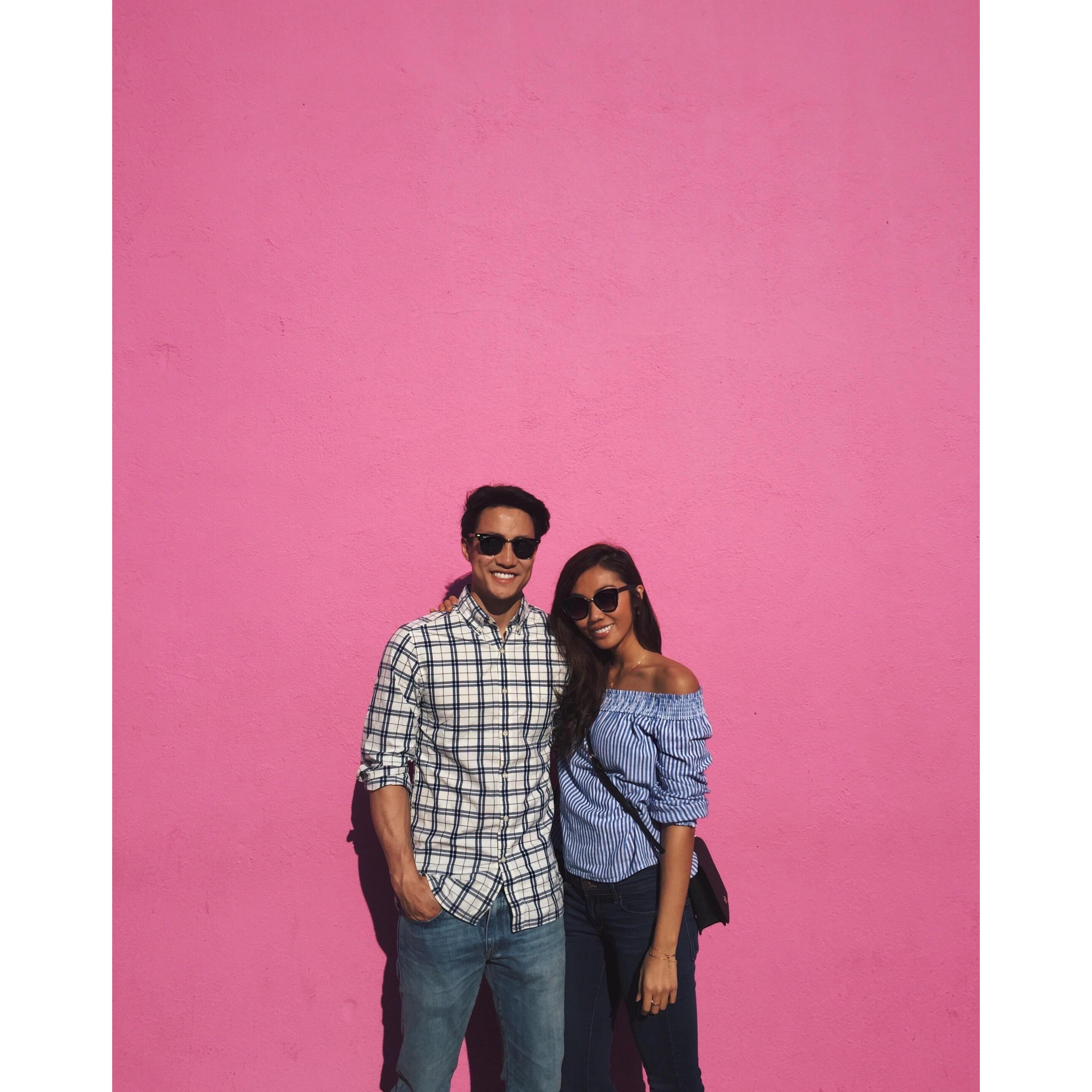 The Pink Wall in LA