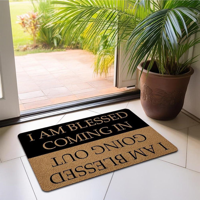 Funny Welcome Doormat with Anti-Slip Rubber Back Prank Gift Home Decor Area Rugs for The Entrance Way Indoor Mats (I AM Blessed Coming in and Going Out) (30x18, Blessed Coming and Going Out)