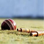 Cricket Pitch