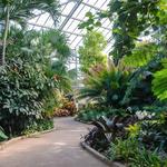 Daniel Stowe Botanical Garden