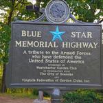 Mill Mountain Star