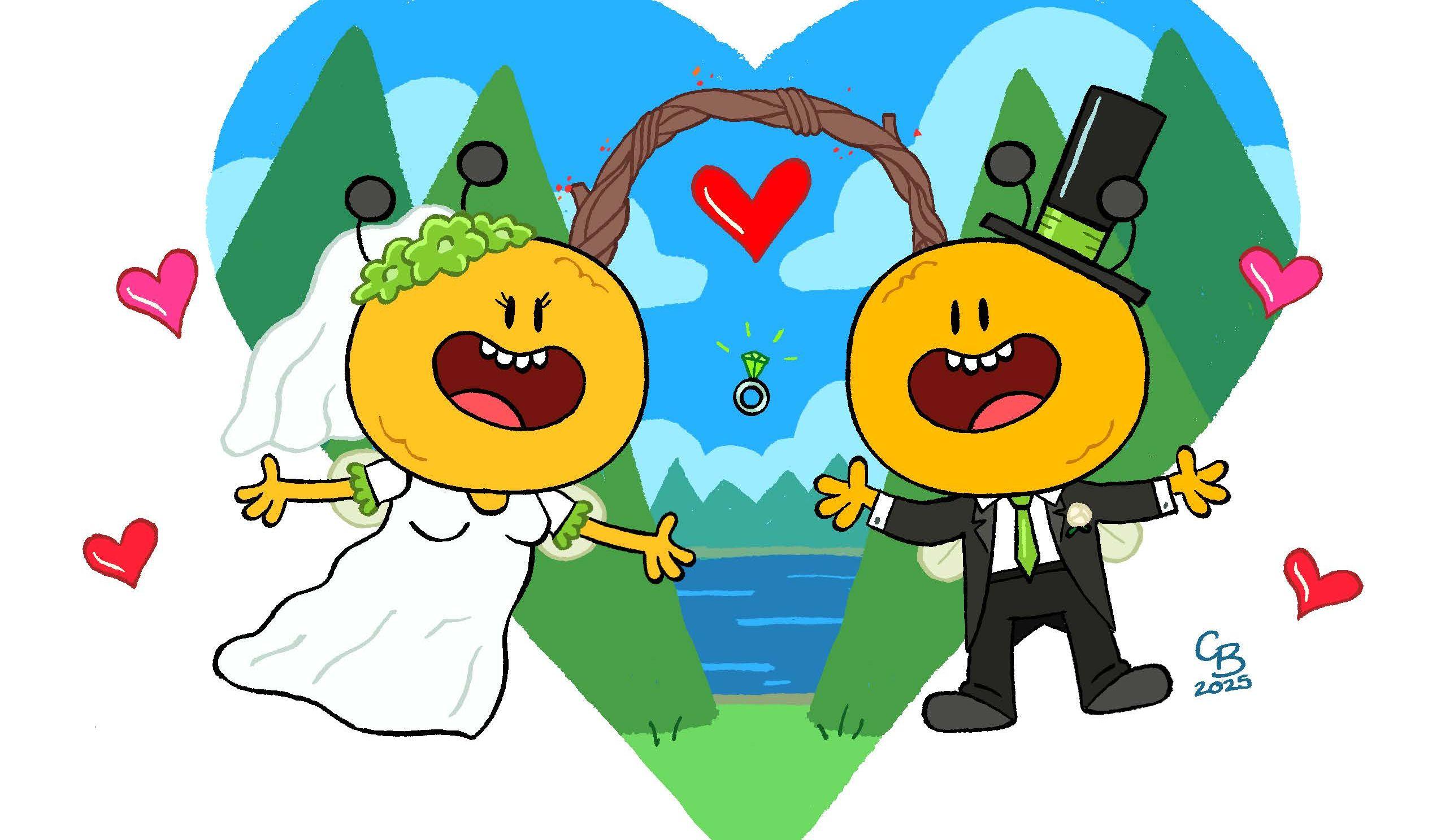 Hero Slideshow Image 1