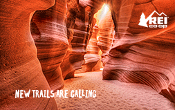 Purchase an REI gift card