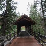 Betty Ford Alpine Gardens