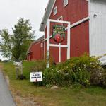 Hicks Orchard