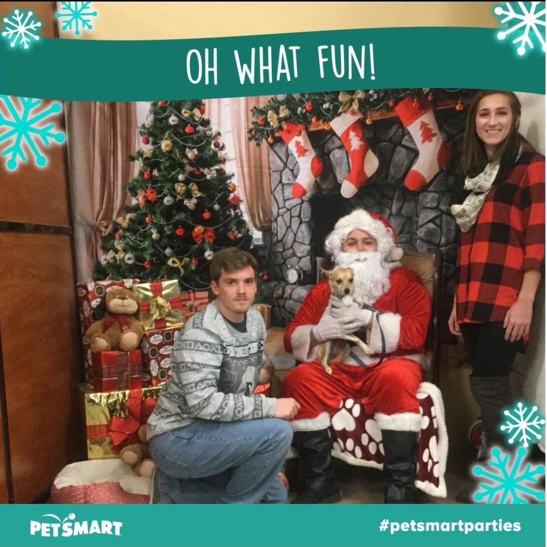 Family Christmas photo December 2018