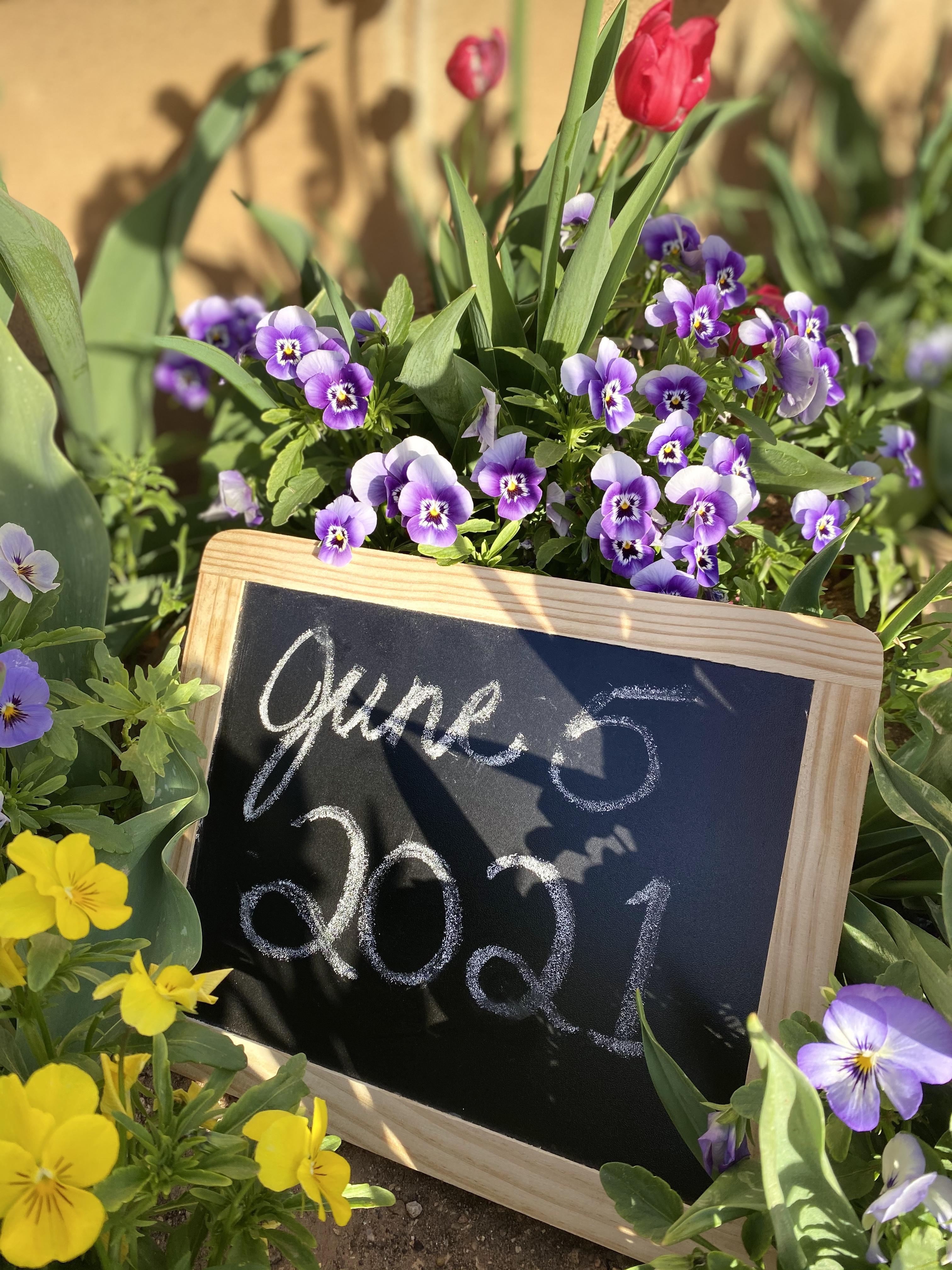 The Wedding Website of VALERIE CAMPOS and JUSTIN MCGALLIAN