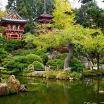 Japanese Tea Garden