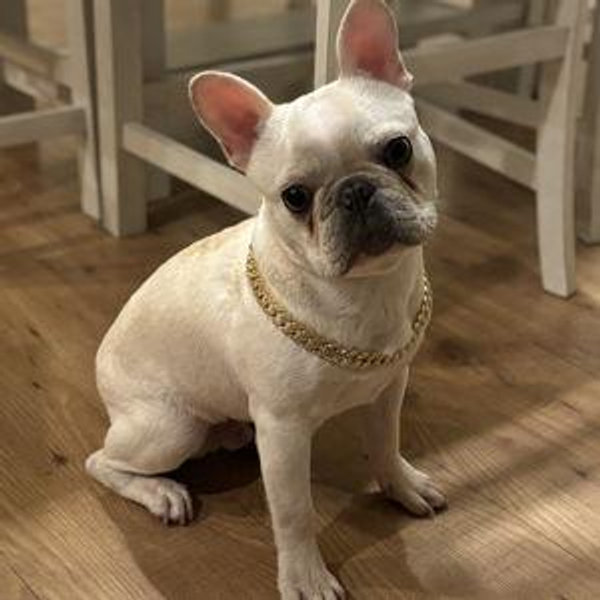 Kobe Toy Fund