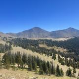 Climb a 14'er OR just hike- tons of trails right outside your doorstep