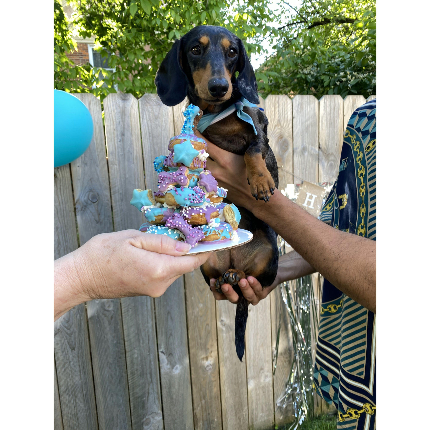 In 2021 the world started to open up again and we celebrated Hendrix's second birthday in May!