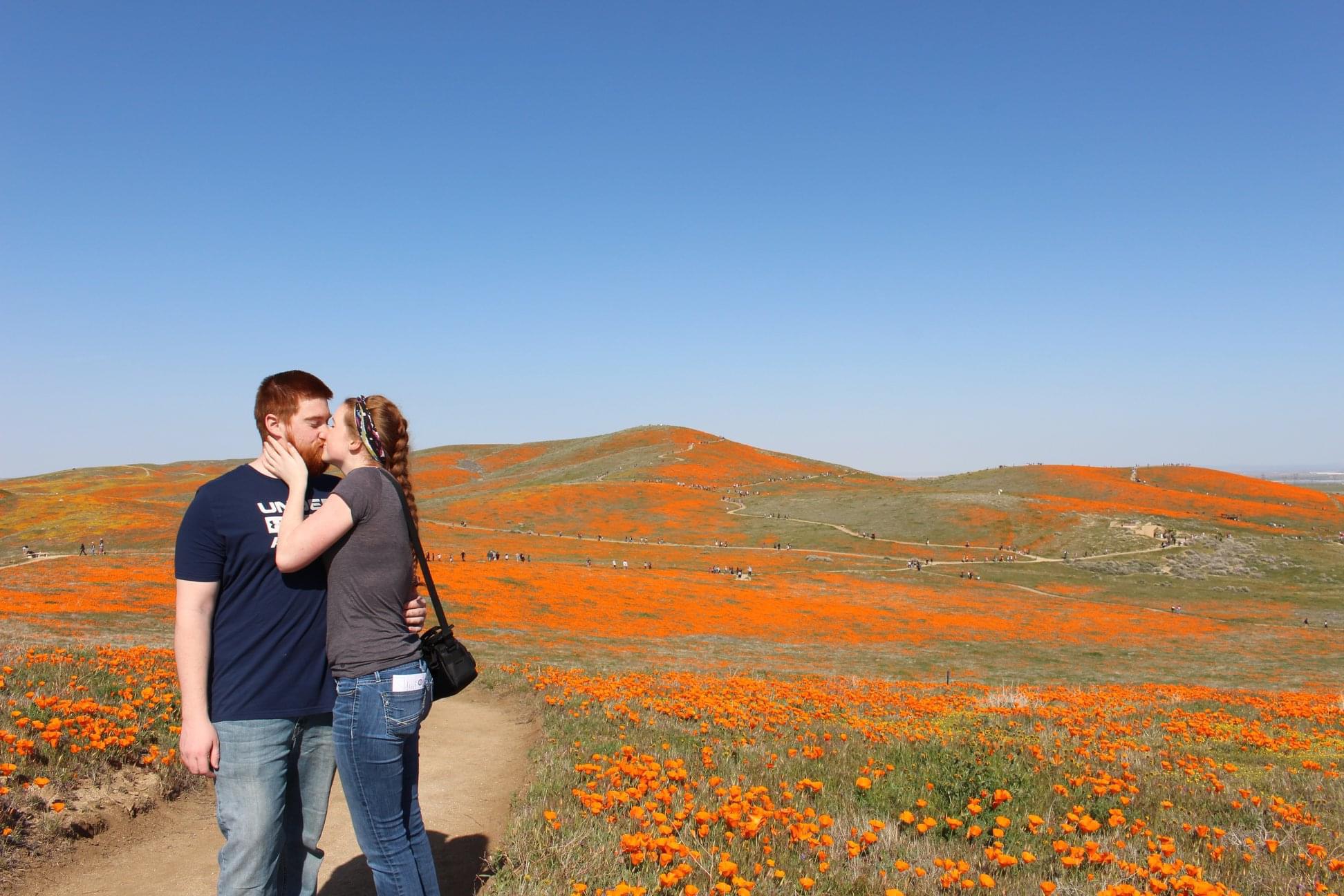 Super Bloom in SoCal 2019