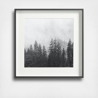 Brushed 11x11 Wall Picture Frame