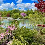Frederik Meijer Gardens