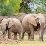 Reid Park Zoo