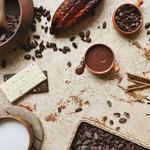 Bean-to-Bar Chocolate Workshop in ChocoMuseo Antigua