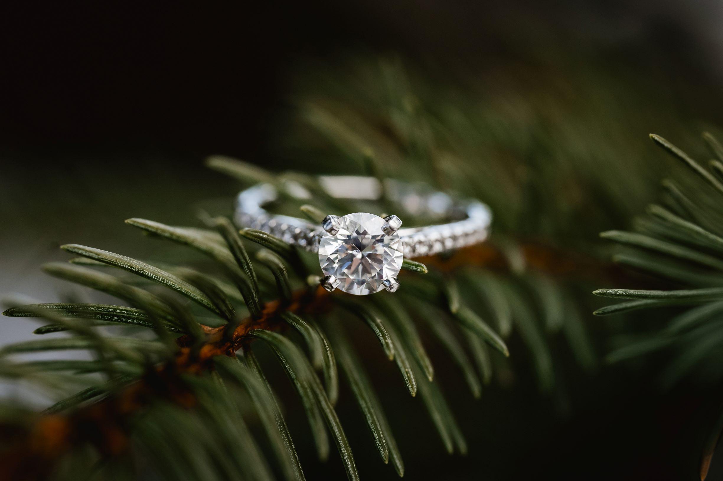 The Wedding Website of Marissa Spillman and Matthew Nesser