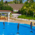 Dolphinaris Barceló