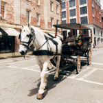 Carriage Tours of Savannah