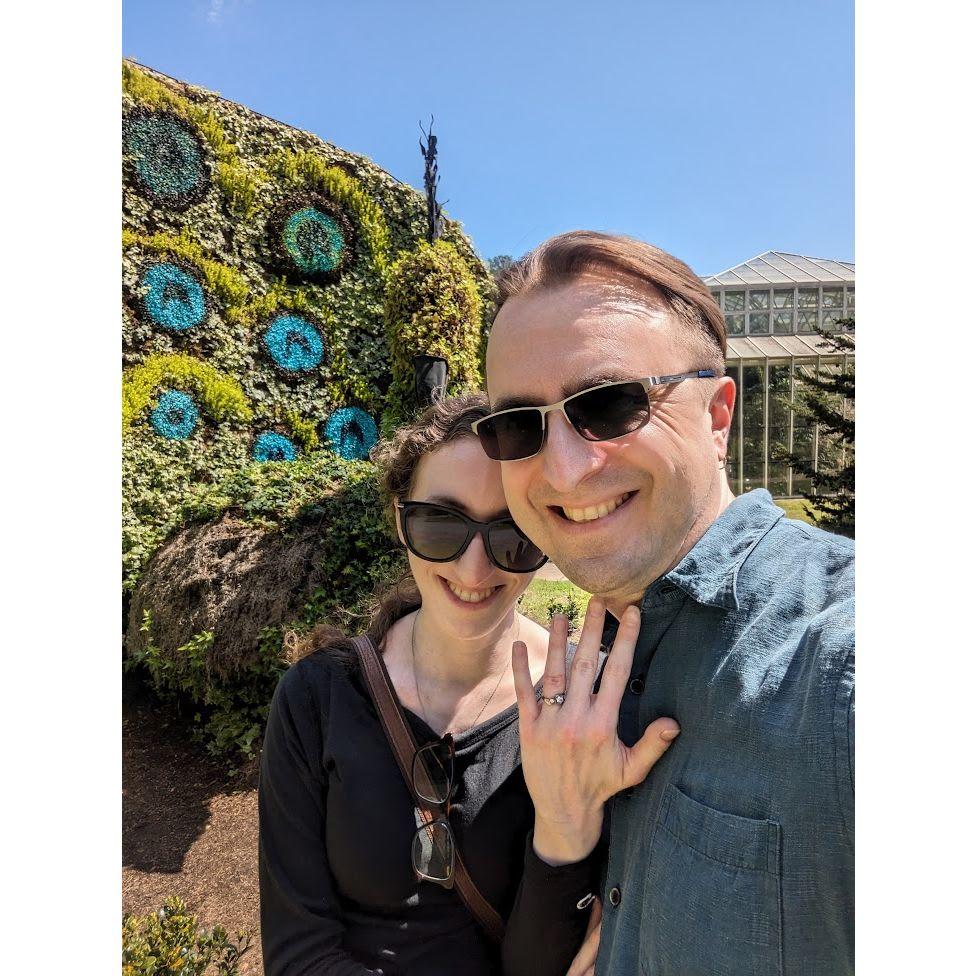Engagement (Calloway Gardens)
