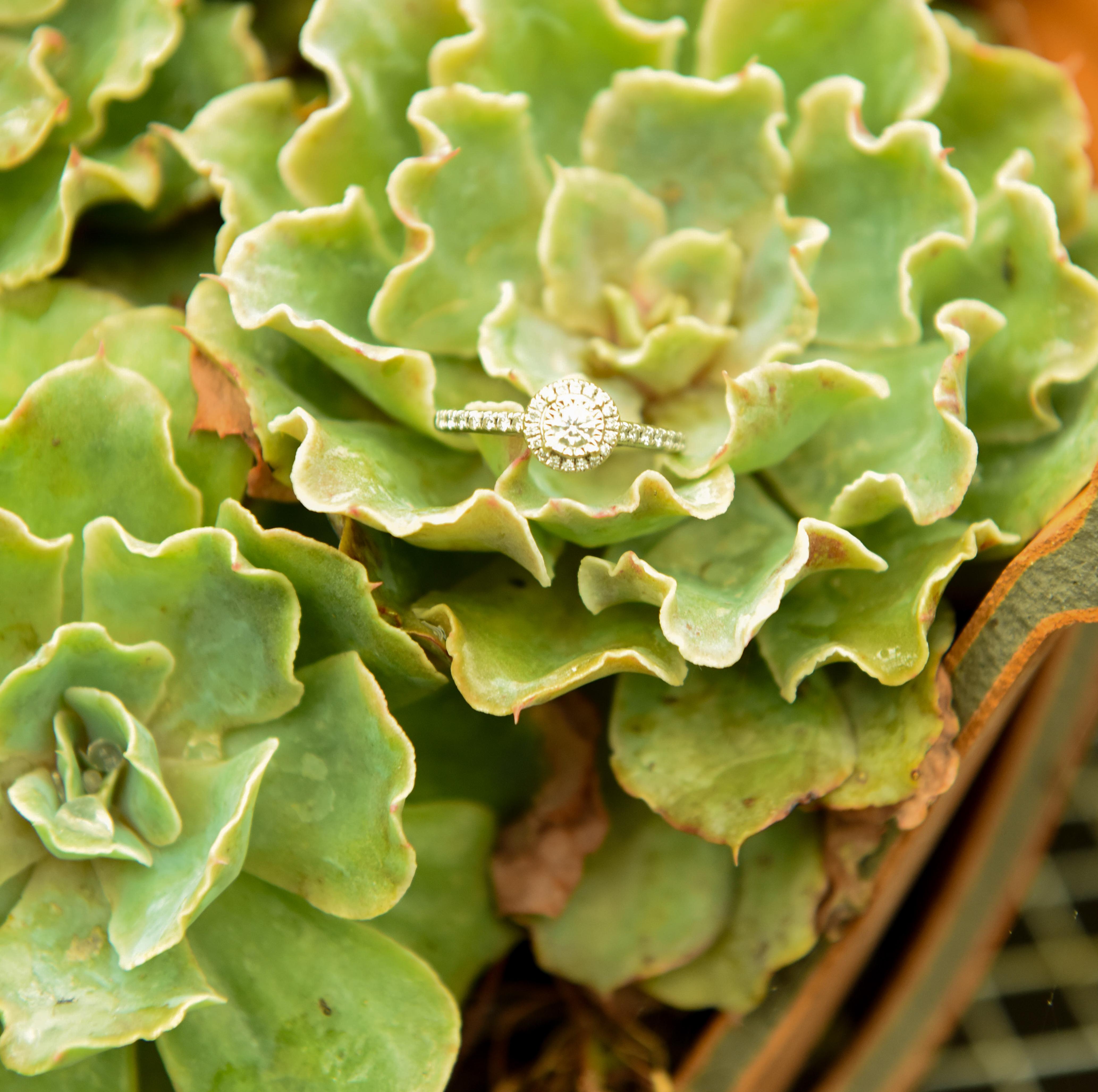 The Wedding Website of Kellee Wehner and Jennifer Portillo