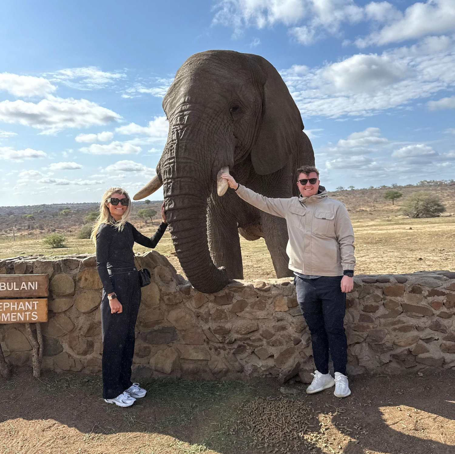 Safari, South Africa 2025