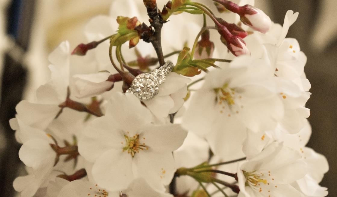 The Wedding Website of Anna Serrano and Connor Adams