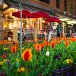 Pearl Street Mall