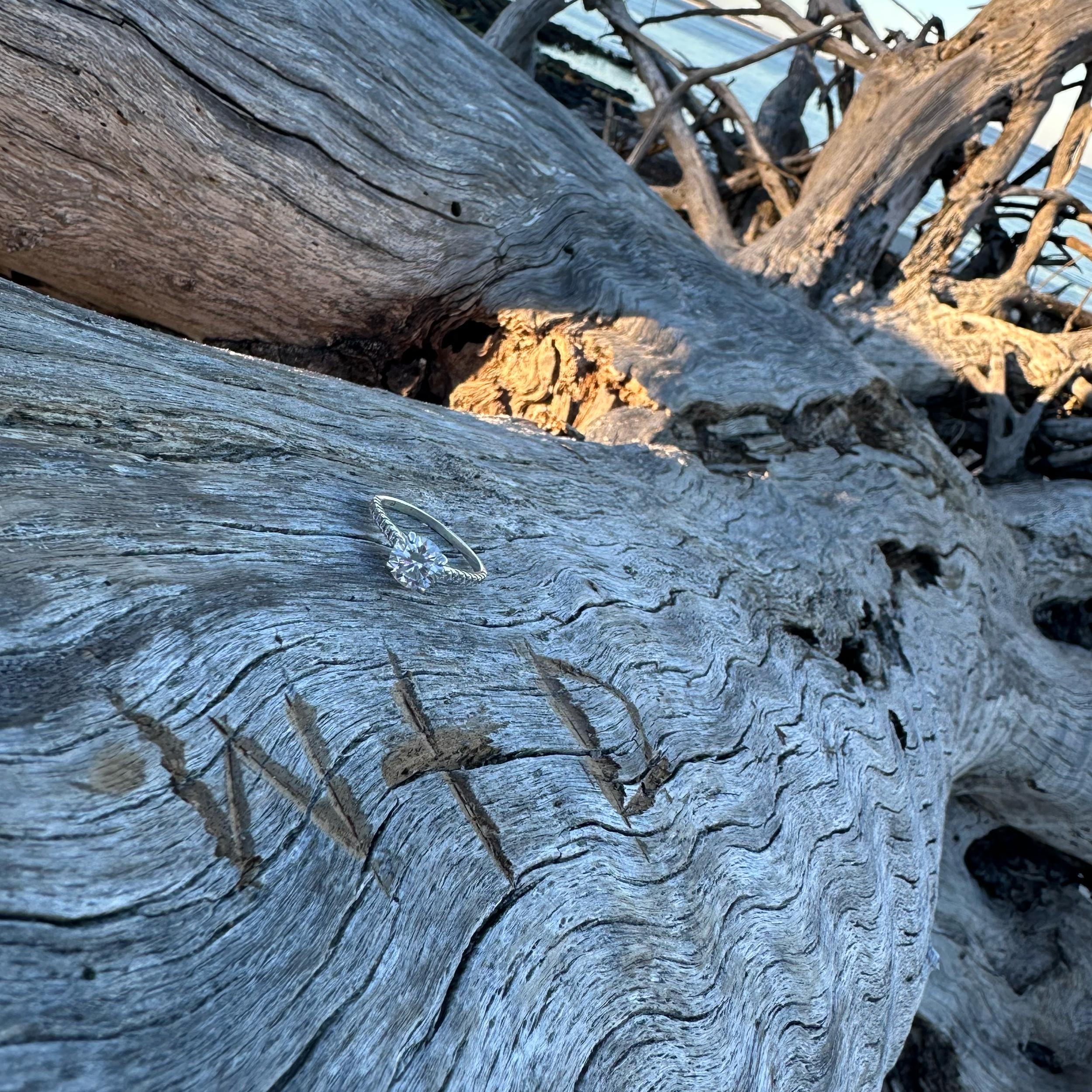 Hero Slideshow Image 2