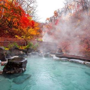 2 Nights & Meals at an Onsen (Hot Spring Inn)