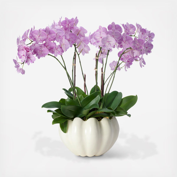 Aerin Mirabelle Cachepot - Thumbnail 2