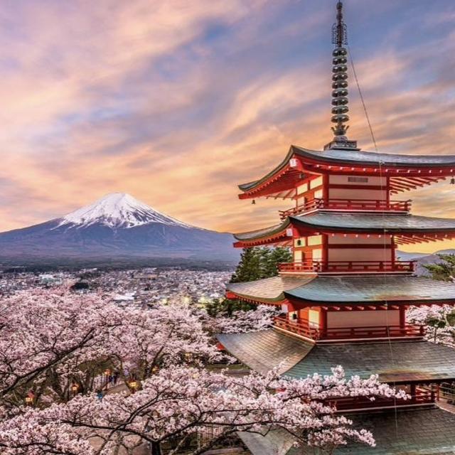 Honeymoon in Japan