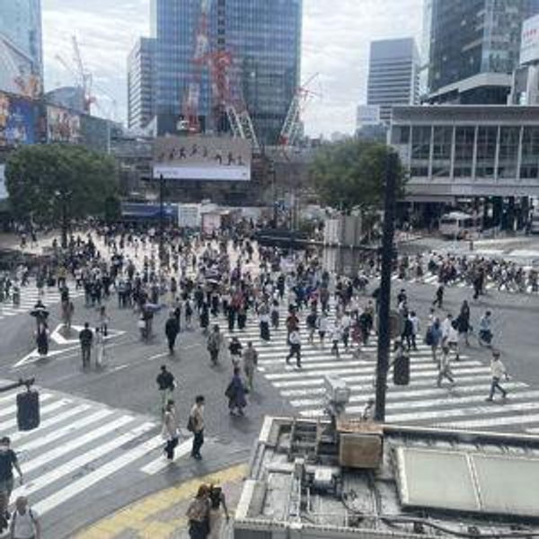 Shibuya excursion