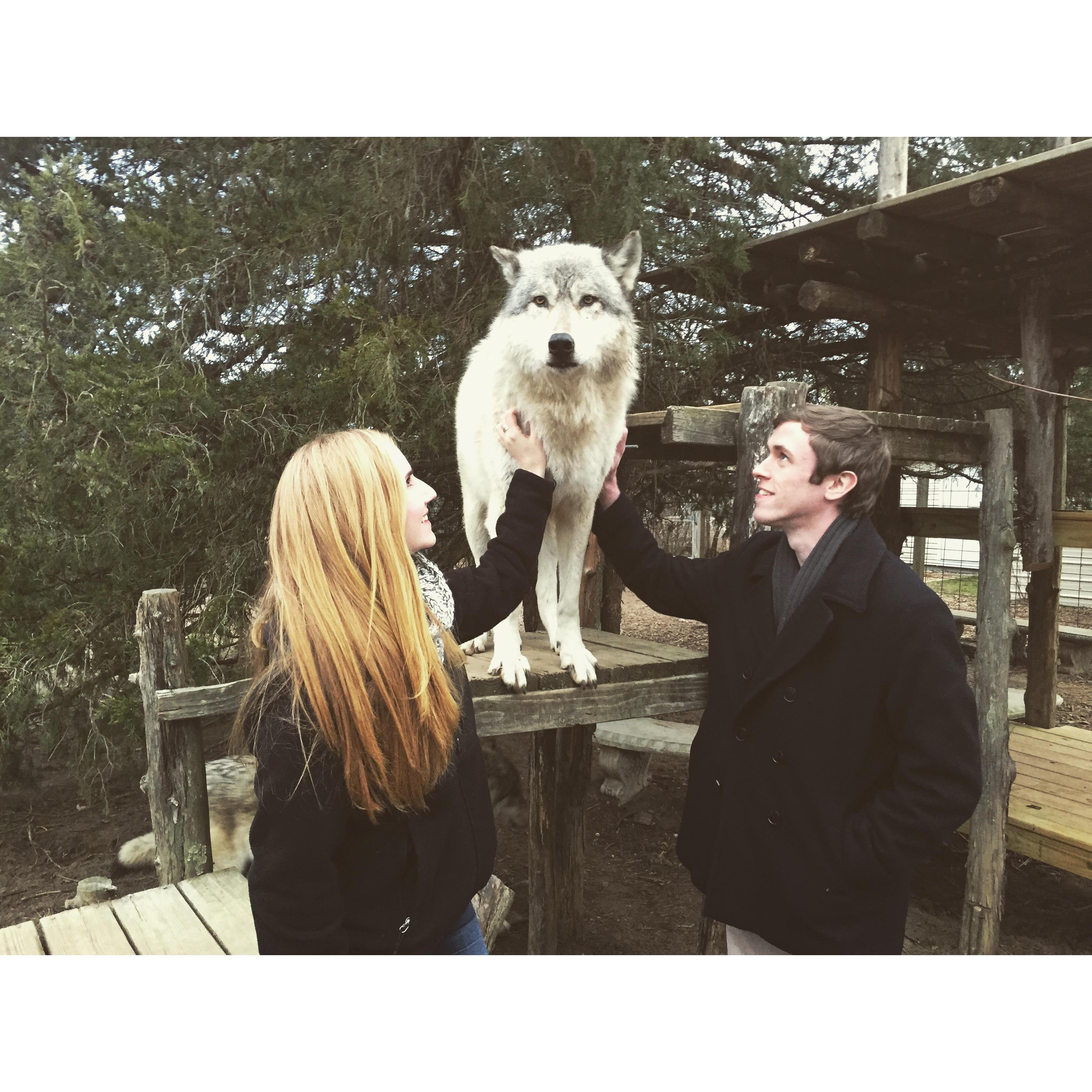 Howling Woods Farm, 2016