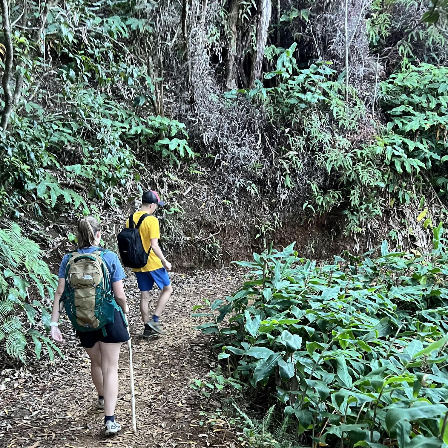 Kalalau Trail 2023