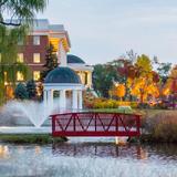 Shenandoah University