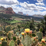 Sedona Airport Scenic Lookout