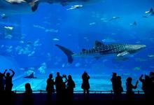 National Aquarium